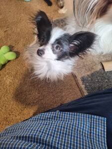 Say hello to "Blinky!"